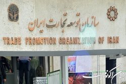 مشاور سازمان توسعه تجارت در امور کریدورهای بین المللی منصوب شد