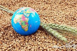 آسیا و بحران غذایی ناشی از جنگ اوکراین