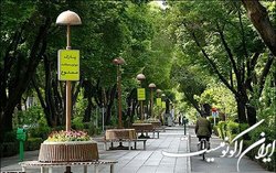 واژه «نیمکت» از کجا می‌آید؟
