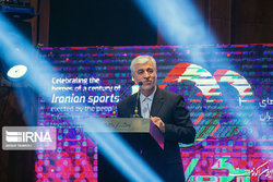 سجادی: سعی می‌کنیم هزینه ورزش در کشور افزایش پیدا نکند
