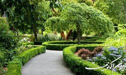 تبدیل زمین جنگ‌افزارسازی ساصد به فضای سبز و آموزشی