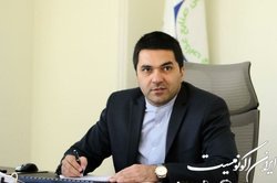 ۶۰ میلیون تن گندم نابود شد!