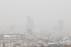 رئیس فراکسیون محیط زیست مجلس: منشأ گردغبارهای اخیر تهران داخلی است