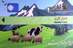 صدور «دامدارکارت» برای تامین سرمایه واحدهای مرغداری و دامداری
