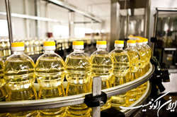 احتکار و درج قیمت‌های جدید عامل کمبود مقطعی روغن