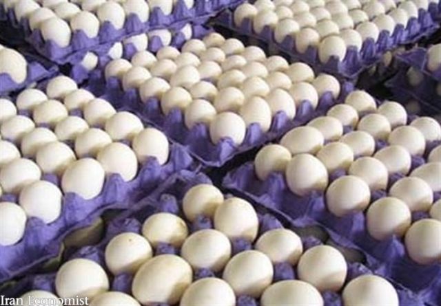 رکورد تولید تخم مرغ در کشور شکسته می‌شود