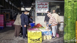 قیمت خرده فروشی مرغ به ۵۱ هزار تومان رسید