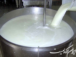 قیمت تضمینی شیر خام درب دامداری، کیلویی ۱۲ هزار تومان تعیین شد