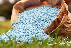 افزایش معنادار مصرف کودهای فسفاته و پتاسه در سال جاری در کشور