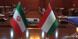 پنداشتی که ریشه پیوند من گسست