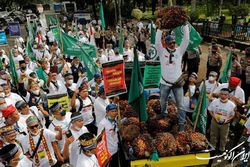 تجمع کشاورزان اندونزیایی در اعتراض به ممنوعیت صادرات روغن پالم