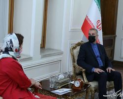 سازمان‌های بین‌المللی رویکرد مناسبی درباره تحولات افغانستان، فلسطین و یمن اتخاذ کنند