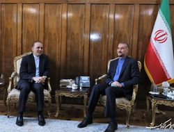 امیرعبداللهیان بر هم افزایی مجلس و وزارت امور خارجه برای تقویت دیپلماسی پارلمانی تاکید کرد