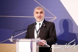 نیکزاد: ایران و آذربایجان ظرفیت‌های مهمی برای توسعه روابط دارند