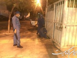 اجرای طرح مبارزه با جانوران مضر شهری در منطقه ۱۹ تهران