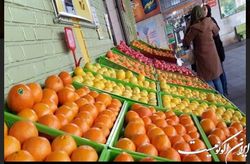 سیب، پرتقال، نارنگی و کیوی در میادین؛ ۴۰ درصد ارزان‌تر از مغازه‌ها