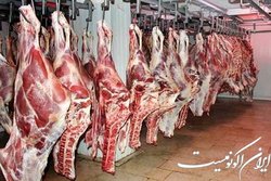 اختصاص وام ۱۶.۵ هزار میلیارد تومانی به واحدهای تولید گوشت و مرغ