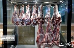 گوشت با قیمت فعلی، گران فروشی است