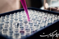 نیازمند نقشه دارویی و تعیین اولویت‌های دارویی در کشور هستیم
