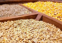 کمتر از ۵ نفر بازار نهاده‌های دامی کشور را می چرخانند!
