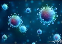 گزارشی از سویه جدید کرونا در کشور نداریم