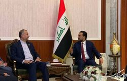 رئیس مجلس عراق با امیرعبداللهیان دیدار می‌کند