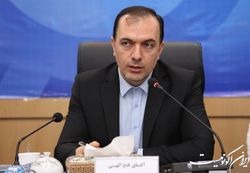 مدیرعامل سازمان منطقه آزاد قشم منصوب شد