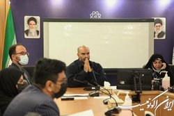 استفاده از شرکت‌های دانش بنیان برای توسعه مشاغل خانگی