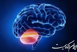 نقش مخچه در کنترل و یادگیری حرکتی