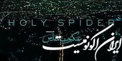 تعمیم‌ دادن کنش شخصی به یک جامعه، کاری غیرحرفه‎‌ای است