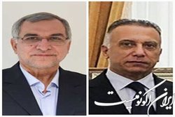 تقویت همکاری های بهداشتی و پزشکی ایران و عراق