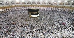 ارز همراه حجاج ۵۰۰ دلار شد