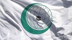 سازمان همکاری اسلامی توهین مقام هندی به پیامبر اسلام (ص) را محکوم کرد