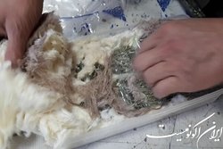 کشف محموله تریاک به مقصد انگلیس از سوی مأموران گمرک