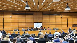 دیاکو حسینی: صدور قطعنامه تند در شورای حکام واکنش منفی ایران را در بر خواهد داشت