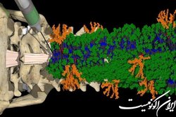 یک درمان تزریقی برای ترمیم آسیب‌های نخاعی
