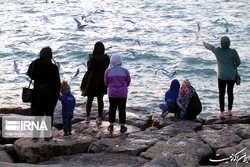 ۱۴۳ محیط‌بان مقتول در ۴۰ سال گذشته