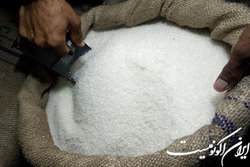 دلایل عقب گرد در خودکفایی شکر