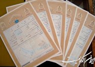 اخذ سند تک برگ برای بیش از 12 هزار هکتار اراضی ملی استان تهران