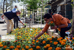 سخنرانی ۱۵ محقق و کارشناس خارجی در کنگره بین المللی گل و گیاهان زینتی