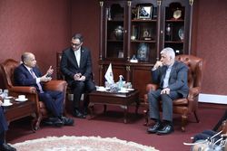 سجادی: ایران باید نقش پررنگی در شورای المپیک آسیا داشته باشد