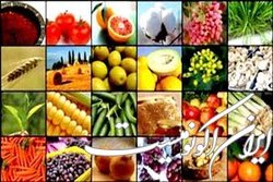 واگذاری وظایف واردات، صادرات و تصمیم‌گیری در بخش کشاورزی به تشکل‌ها