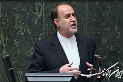 حاجی بابایی: دولت با قدرت «پاکنا» را کامل کند