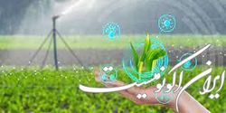 فعالیت ۴ درصد شرکت‌های دانش‌بنیان در حوزه کشاورزی