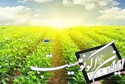 تدوین دستورالعمل برای ایجاد بازار محصولات دانش‌بنیان در بخش کشاورزی