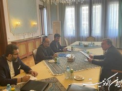 دیدار نمایندگان ایران و روسیه در سازمان‌های بین‌المللی در وین