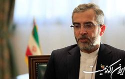 باقری: دستاوردهای سیاست خارجی ناشی از استفاده حداکثری از همه ظرفیت های ملی و فراملی است
