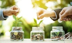 تسهیلات ۲۹ میلیاردی صندوق نوآوری برای افزایش تولید پلی اورتان‌های زیره کفش
