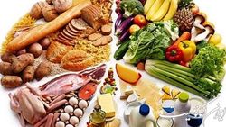 نمایشگاه بین‌المللی صنایع کشاورزی و مواد غذایی منطقه خاورمیانه در تهران آغاز بکار کرد