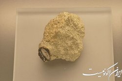 تغییر نظریه تشکبل مریخ به دست شهاب‌سنگ ۲۰۰ ساله